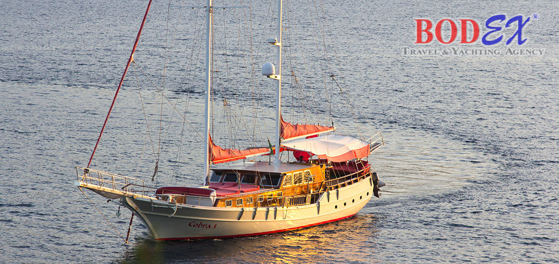 Gulet Cobra 3